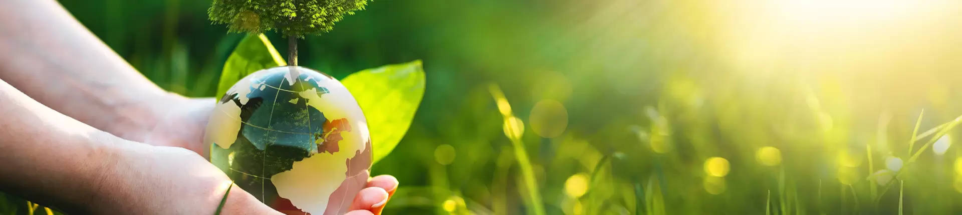 Taller Responsabilidad Ambiental